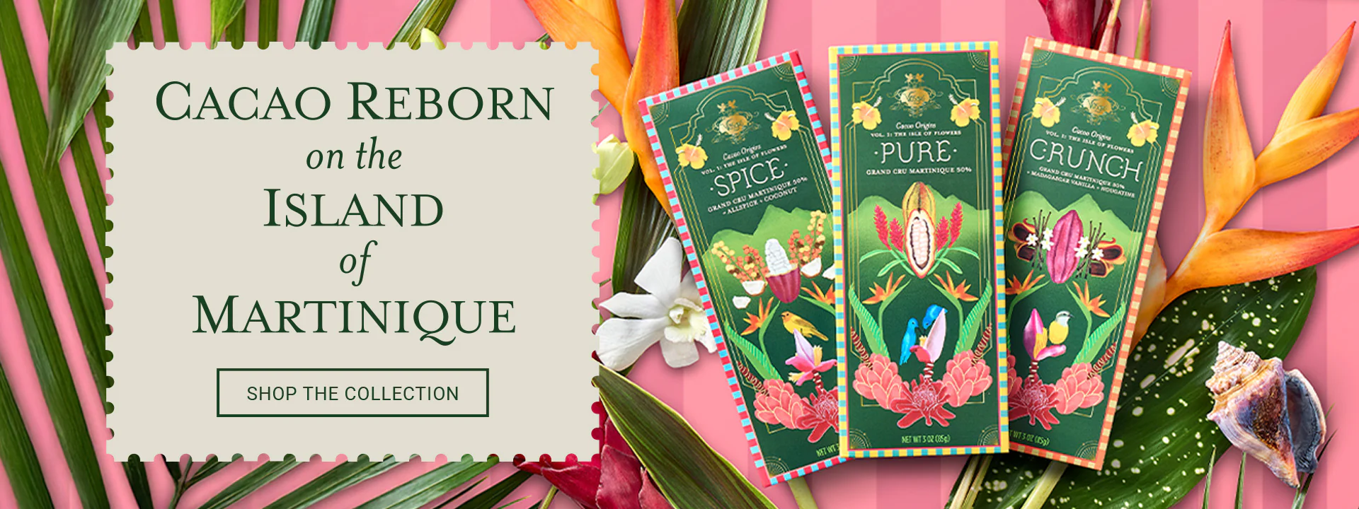 A Global Odyssey in Chocolate